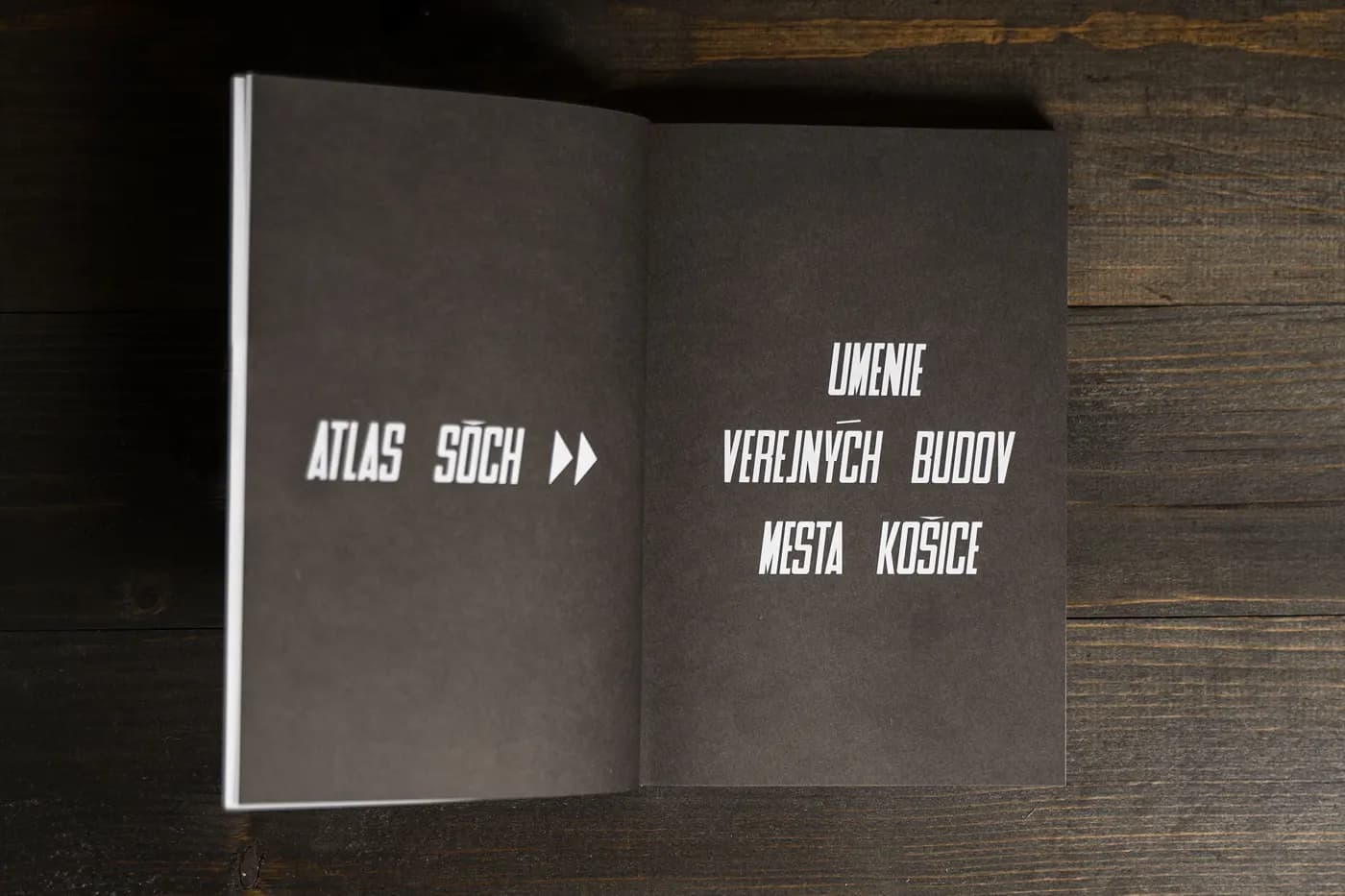 Atlas sôch a Atlas umenia verejných budov mesta Košice